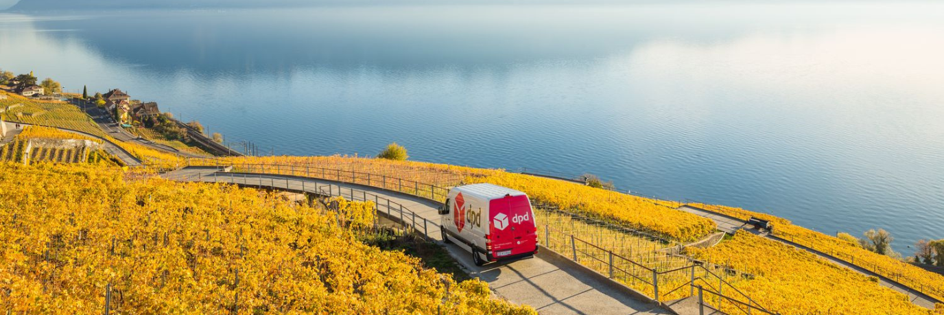 DPD van in a swiss landscape