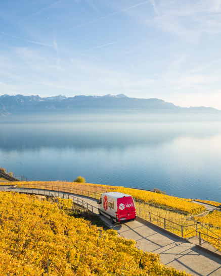 DPD Van in Switzerland